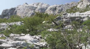 Národné parky Severnej Dalmácie