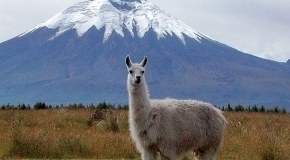 Peru - Ekvádor