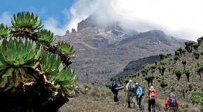 Kilimandžáro Cestou Marangu