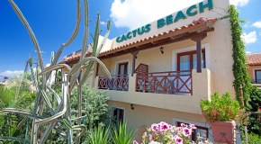 Hotel Cactus Beach