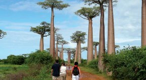 Tajomný Madagaskar